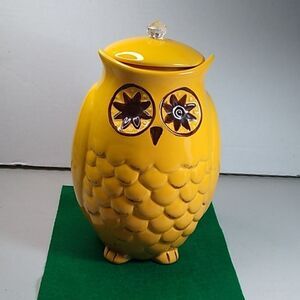 Pier 1 Imports Starry Night Owl Canister Ceramic Cottagecore Grandmacore